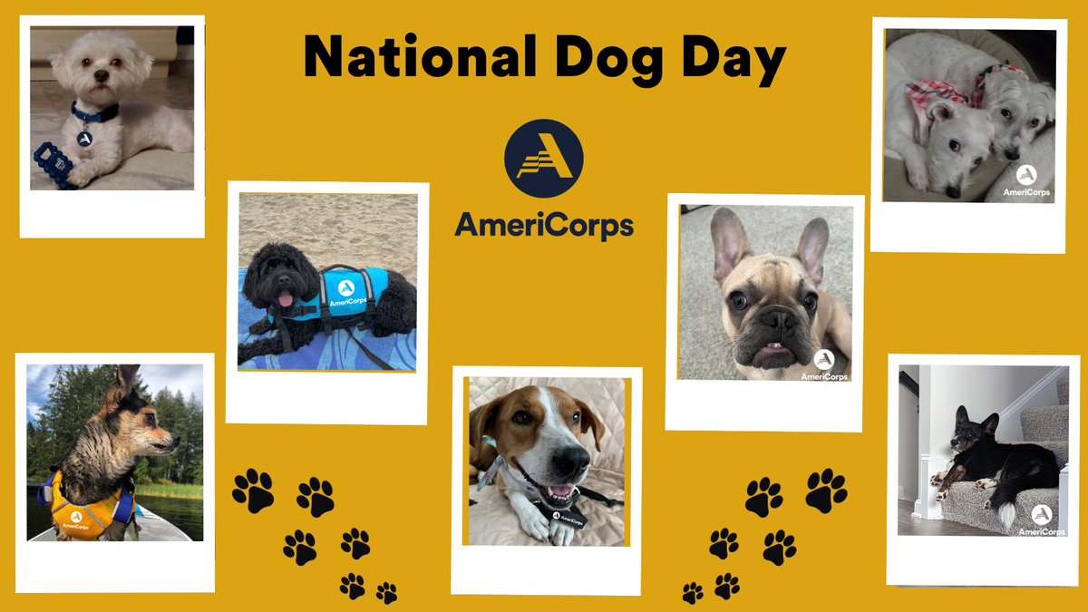 AmeriCorps's tweet photo. Our #AmeriDogs wish you a happy #NationalDogDay!
Join our celebrations with a โค๏ธ https://t.co/FuendHb4qu