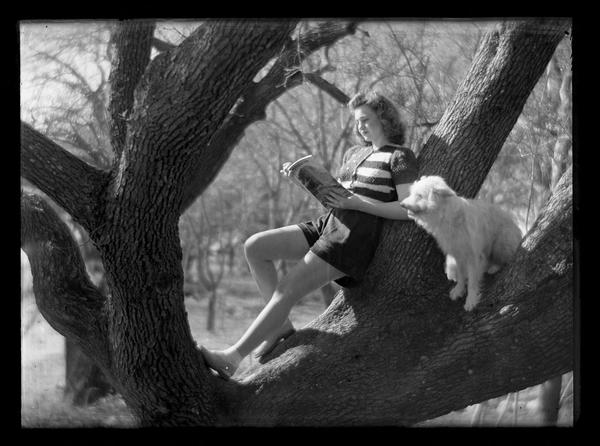 ekl_library's tweet photo. @archivesfdn This one may not be historically important, but @LouisianaDigLib's photo of this dog casually hanging out in a tree is hard to beat... https://t.co/CXQ4Bi6GLY