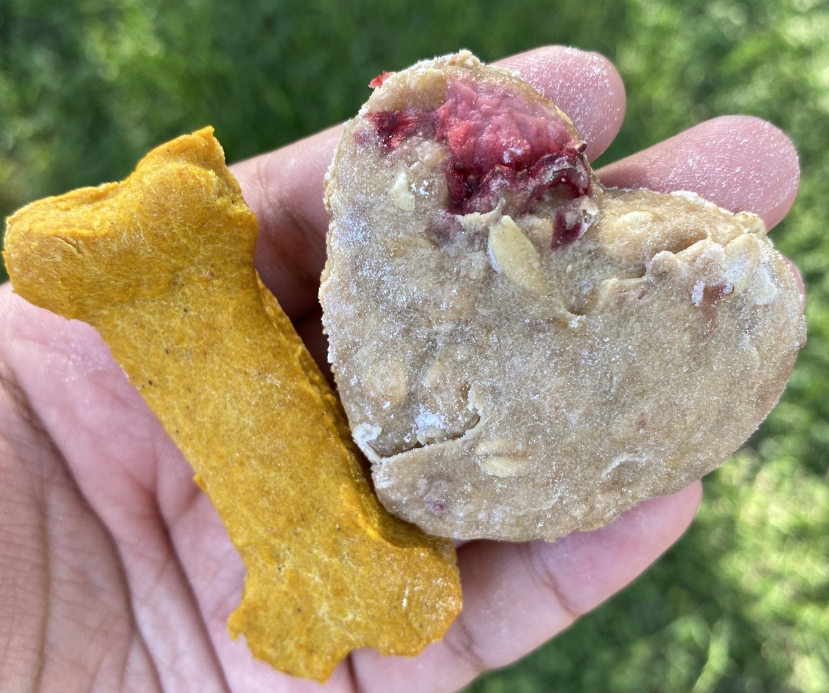 getbaked210's tweet photo. I make homemade treats for fur babies too! Packed with nutritious fruits and veggies from natural ingredients for a tasty and healthy treat your little pal will love! 🐶🦴💕 https://t.co/3D3upuqZrm