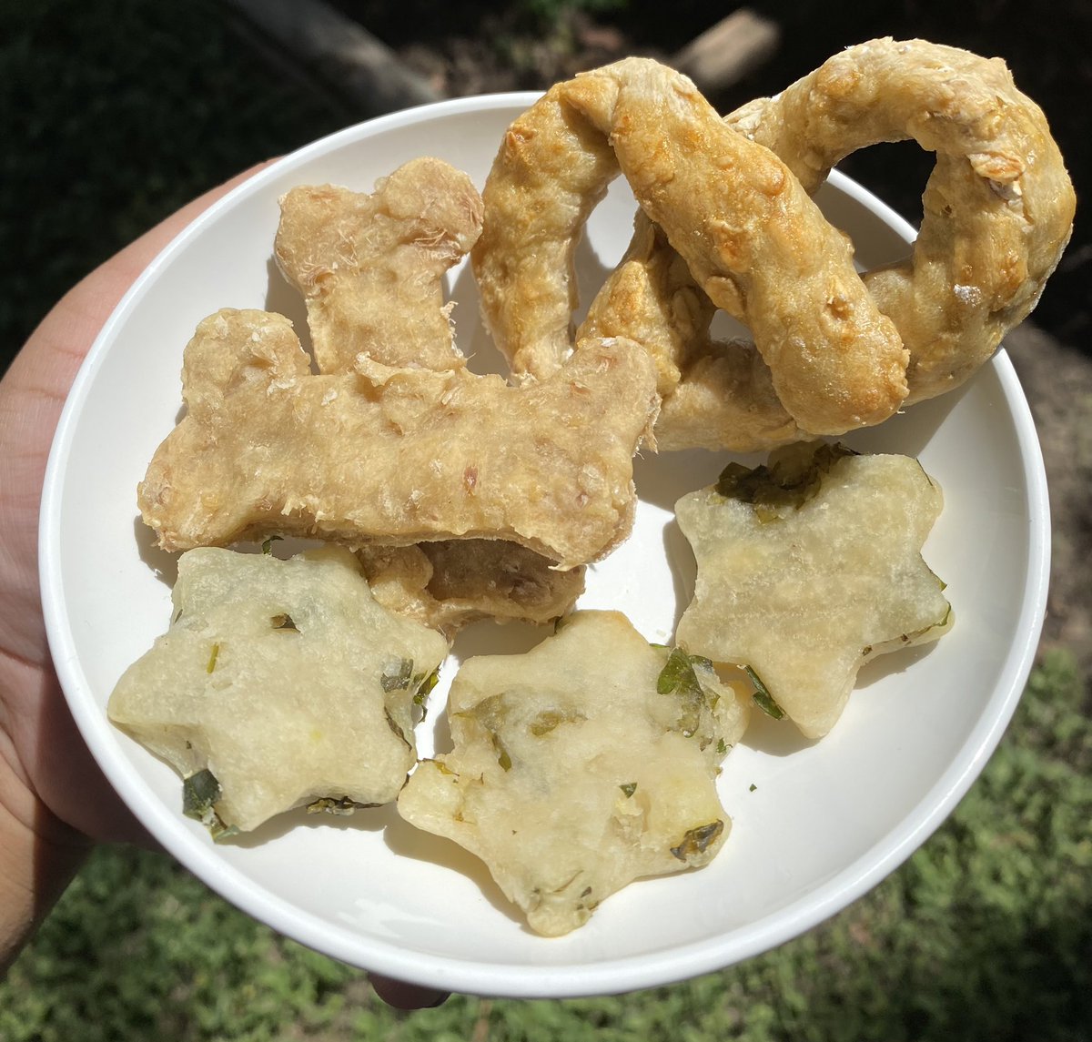 getbaked210's tweet photo. I make homemade treats for fur babies too! Packed with nutritious fruits and veggies from natural ingredients for a tasty and healthy treat your little pal will love! 🐶🦴💕 https://t.co/3D3upuqZrm