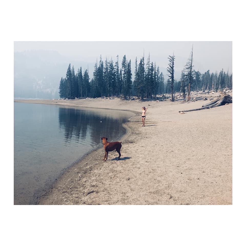 #InternationalDogDay