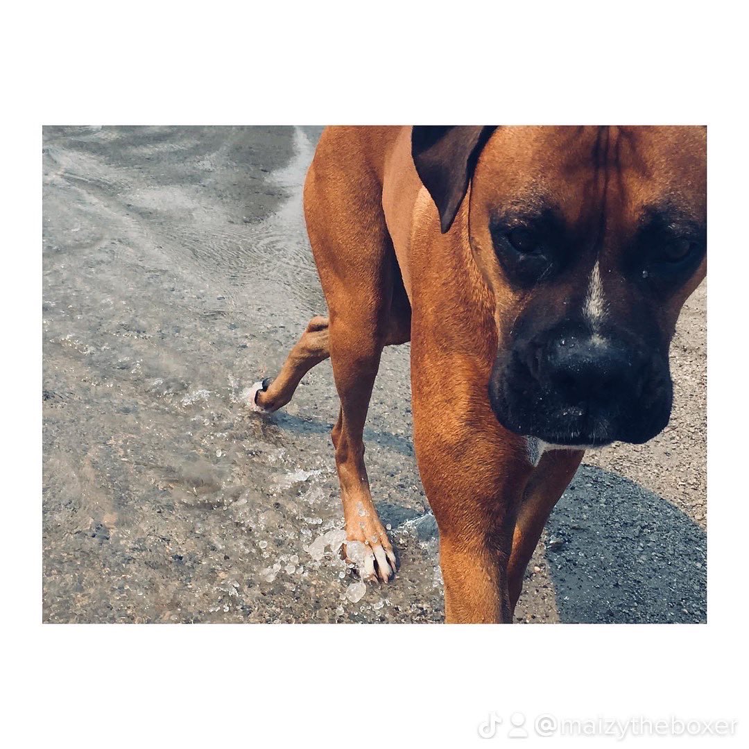 Chelsea Effect tweet media