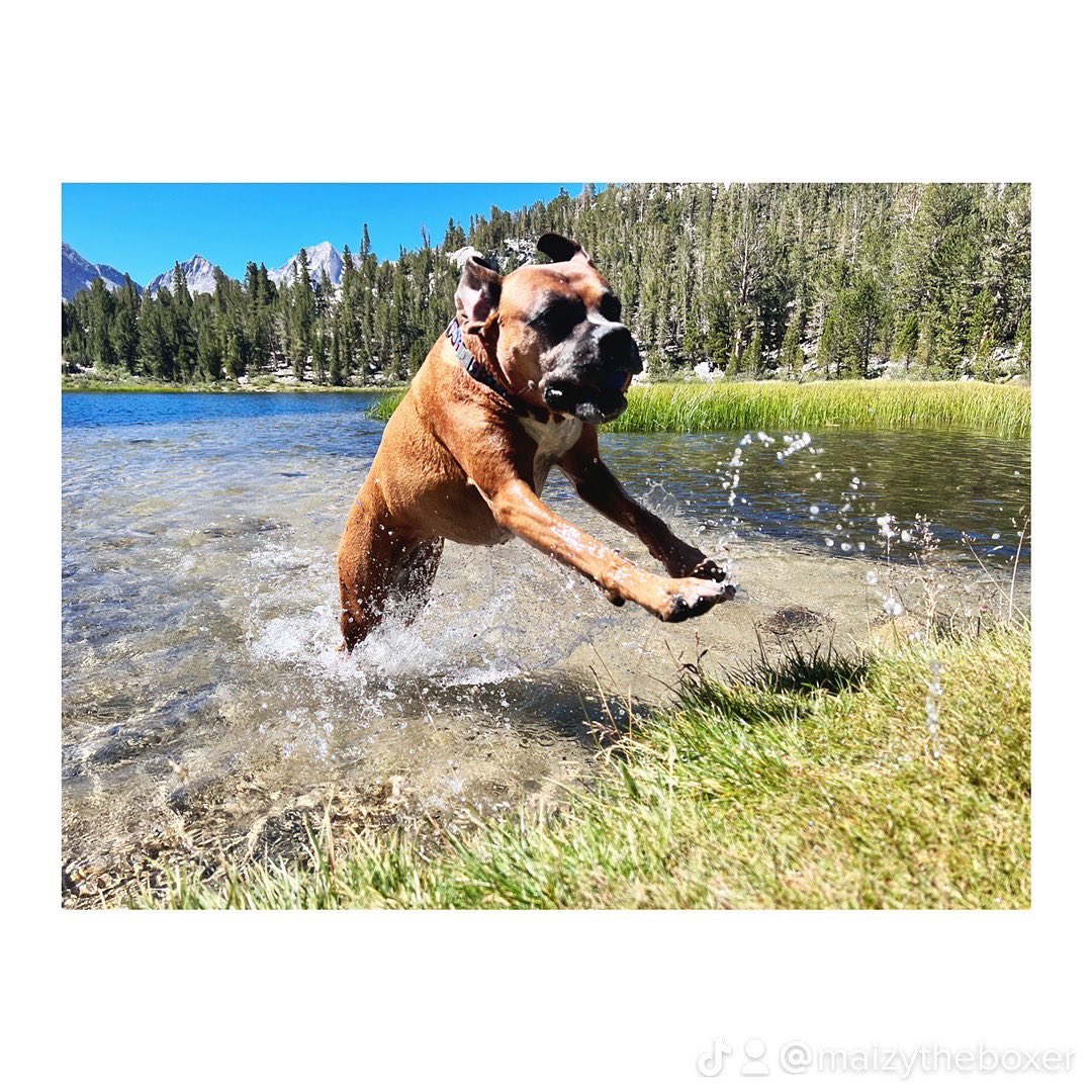 Chelsea Effect tweet media