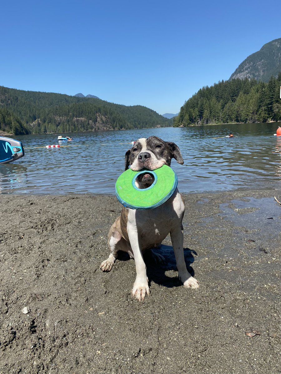 Mike Nugent tweet media