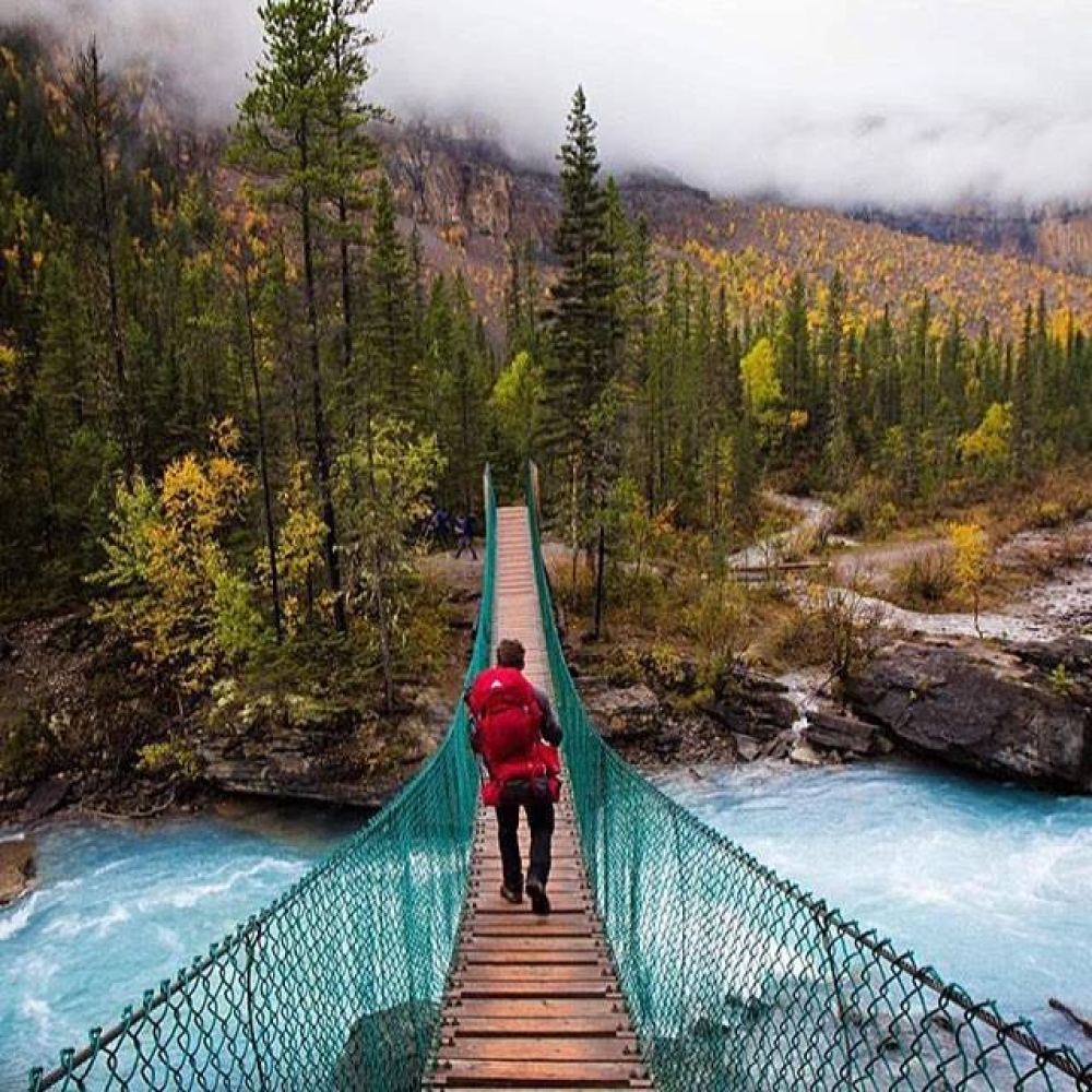 aaowens51's tweet photo. Like and share if you think it`s fantastic!
#Water #Plant #Sky #Mountain #Nature #Cloud #Tree #Fluviallandformsofstreams #Naturallandscape #Larch https://t.co/jWE0CK6WQA