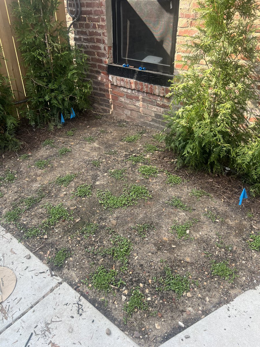 Neil Schroeder tweet media