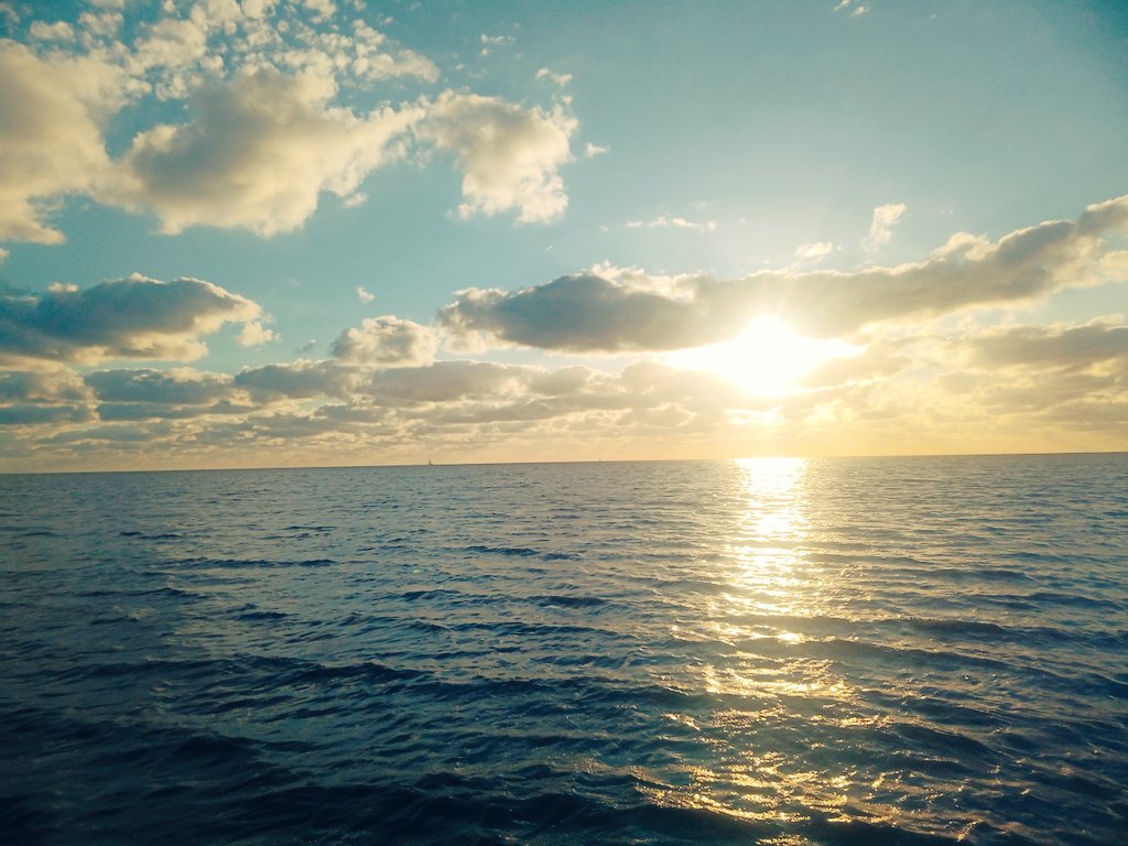 AnimaNull's tweet photo. I just love the ocean and the wind. I am magically dragged into this space. Like as I always have lived there in a different past or life. Kinda crazy. #lifeofagamedev https://t.co/KZWTvyyYk6