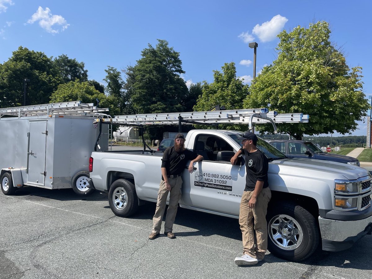 We've expanded our fleet and added new techs to our wildlife team to accommodate the growing wildlife needs in Baltimore + surrounding counties! If you can count on anyone, it's On The Fly! 

#raccons #squirrels #bats #groundhogs #foxes #wildlife