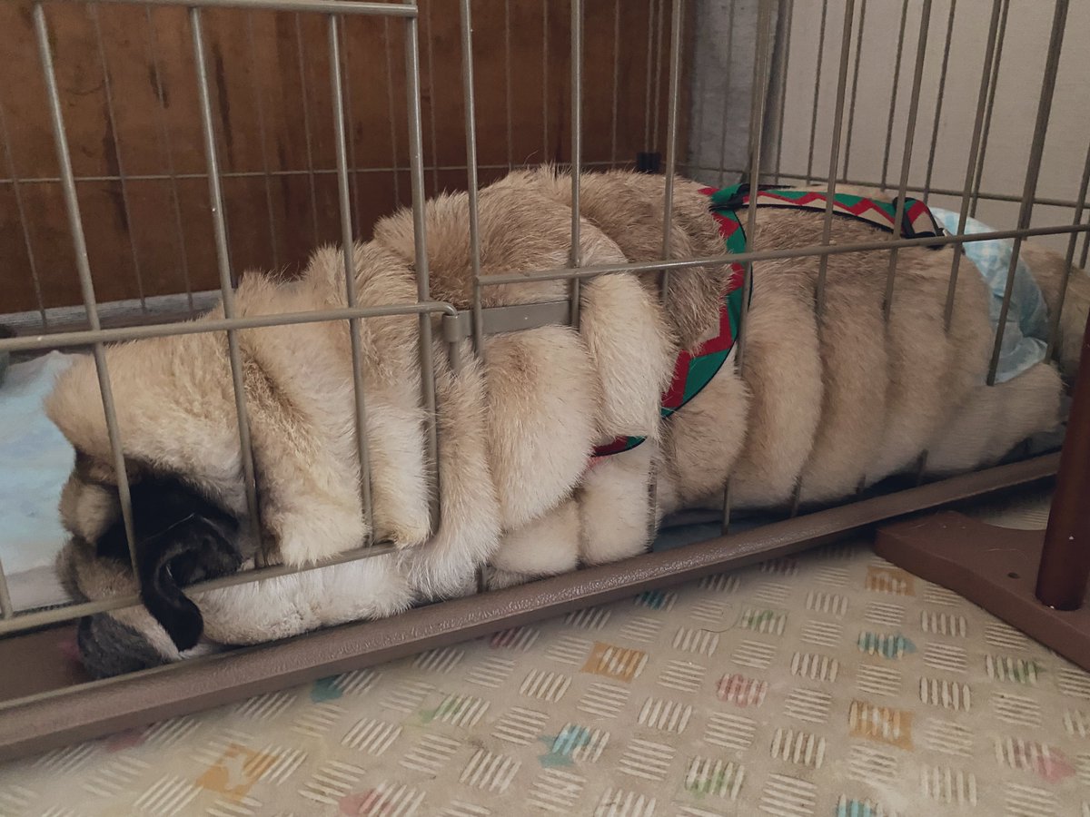 チャーシューのような何か