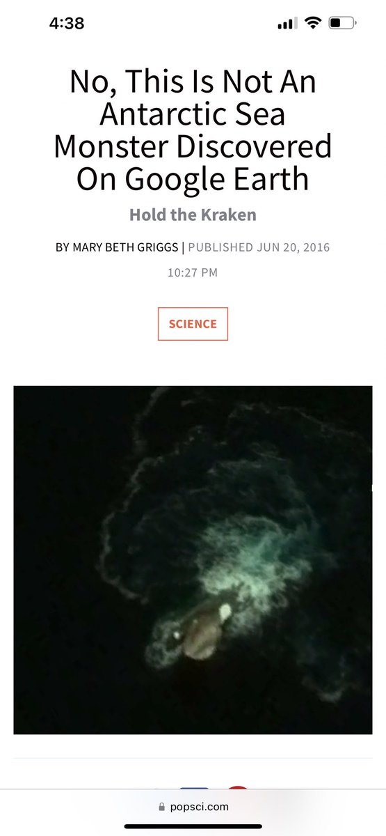 FlawdaMurph's tweet photo. DISINFORMATION!!! IVE DISCOVERED THE #kraken #giantsquid #themurphyproject #ufo #antartica #JohnnyDepp #piratesofthecaribbean https://t.co/QYObFaef1Q
