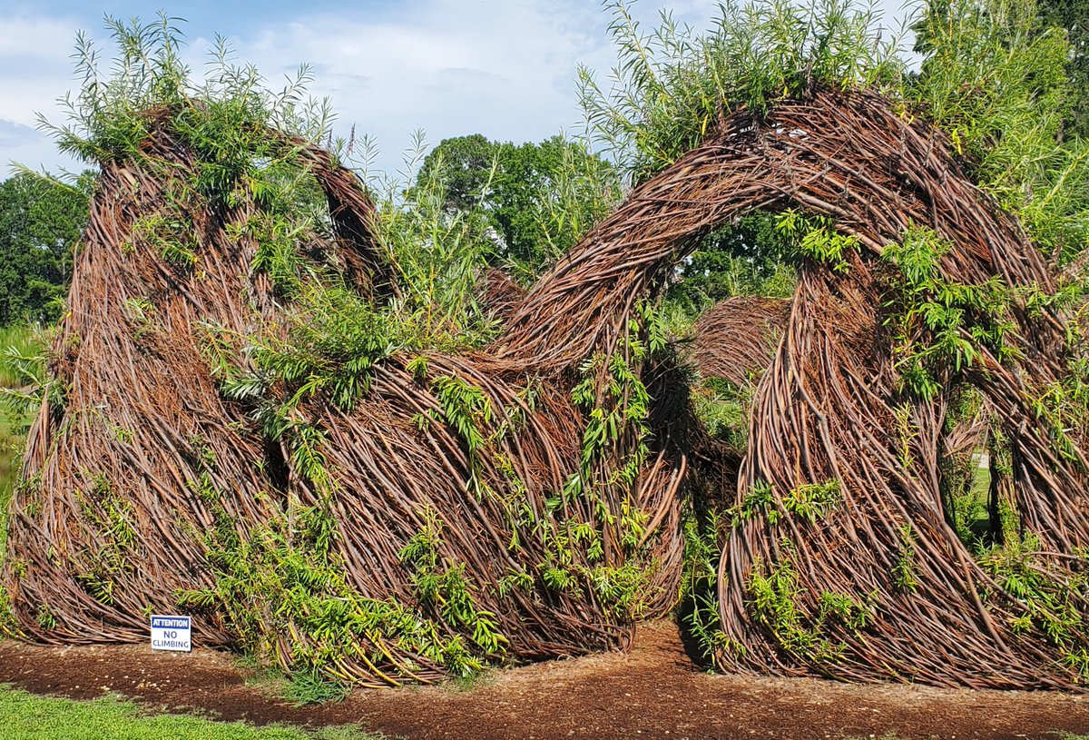 ncroadrunners's tweet photo. Check out the funky willow sculpture at our #socialrun Saturday (8/27) at 7 a.m. at #CarpenterPark in Cary. Look for the new #NCRC feather flag at the picnic shelter. We welcome all runners and walkers. https://t.co/NpvZuzHBLa