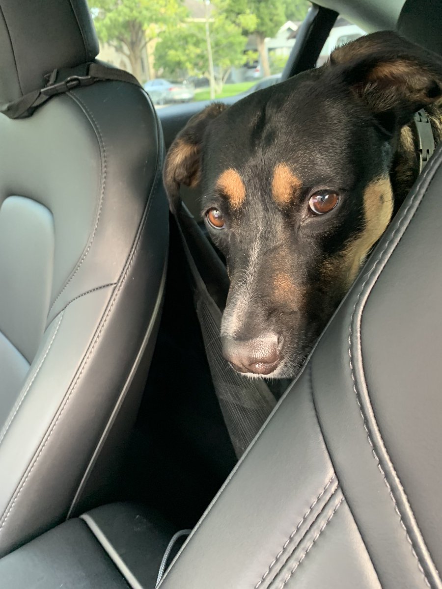 Jamie Lin MD FASN tweet media