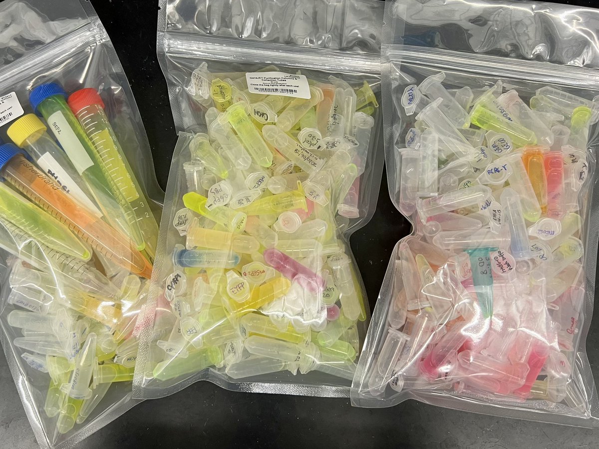 easonyshen's tweet photo. Clearing the lab fridges today and found these gems! Happy #fluorescencefriday https://t.co/hvQRUfOR1T