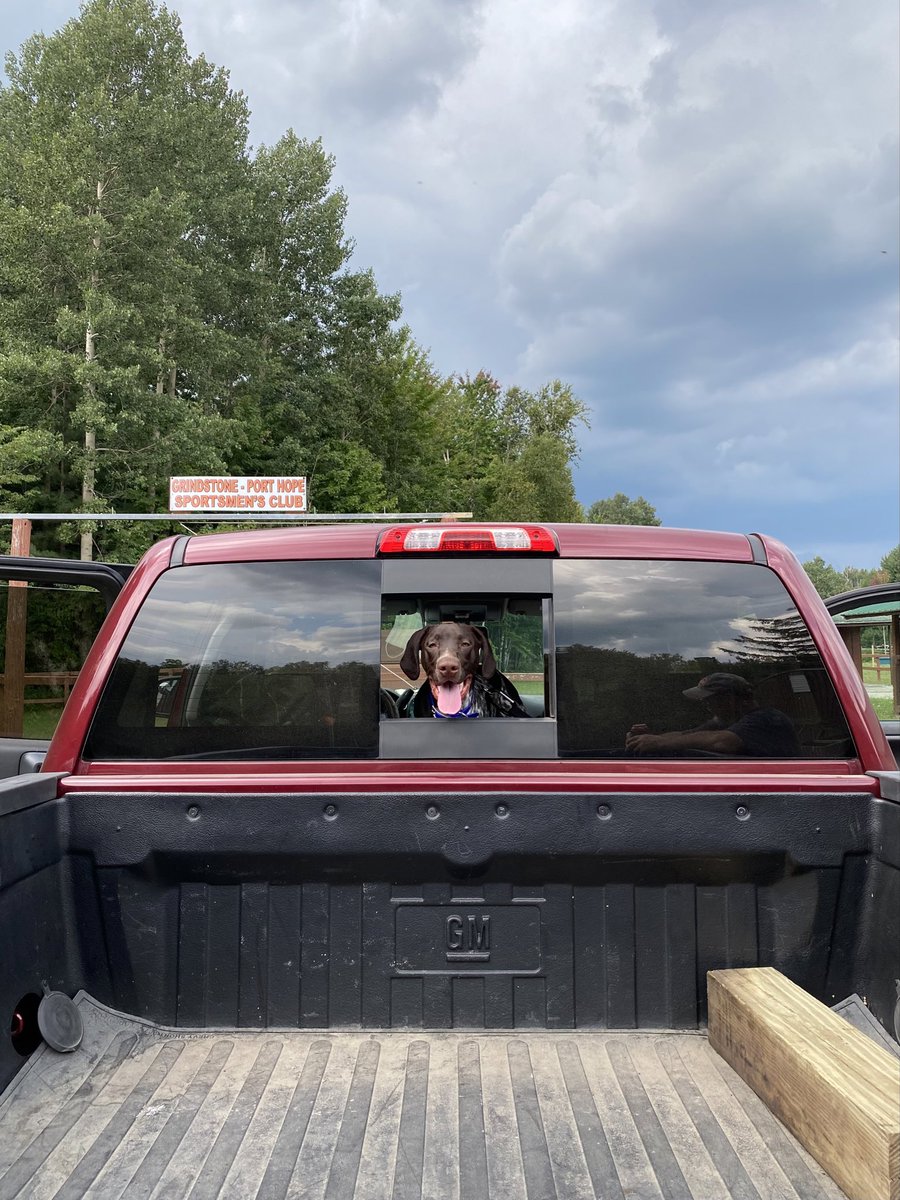 RugerTheGSP's tweet photo. 🐶🤎🤎 https://t.co/j0lgyoGXUg