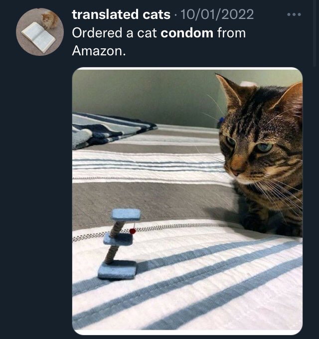 cats with jobs on Twitter "Seokalthegreat Meevin10 The cat condoms