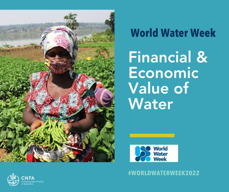 Sustainable access to #water benefits both the economy & environment. In #Rwanda, @FeedtheFuture @USAIDHingaWeze supports smallholder farmers like Beata Mukanyirigira to utilize solar irrigation technologies that improve livelihoods & increase yields. #WorldWaterWeek2022 #WWWeek