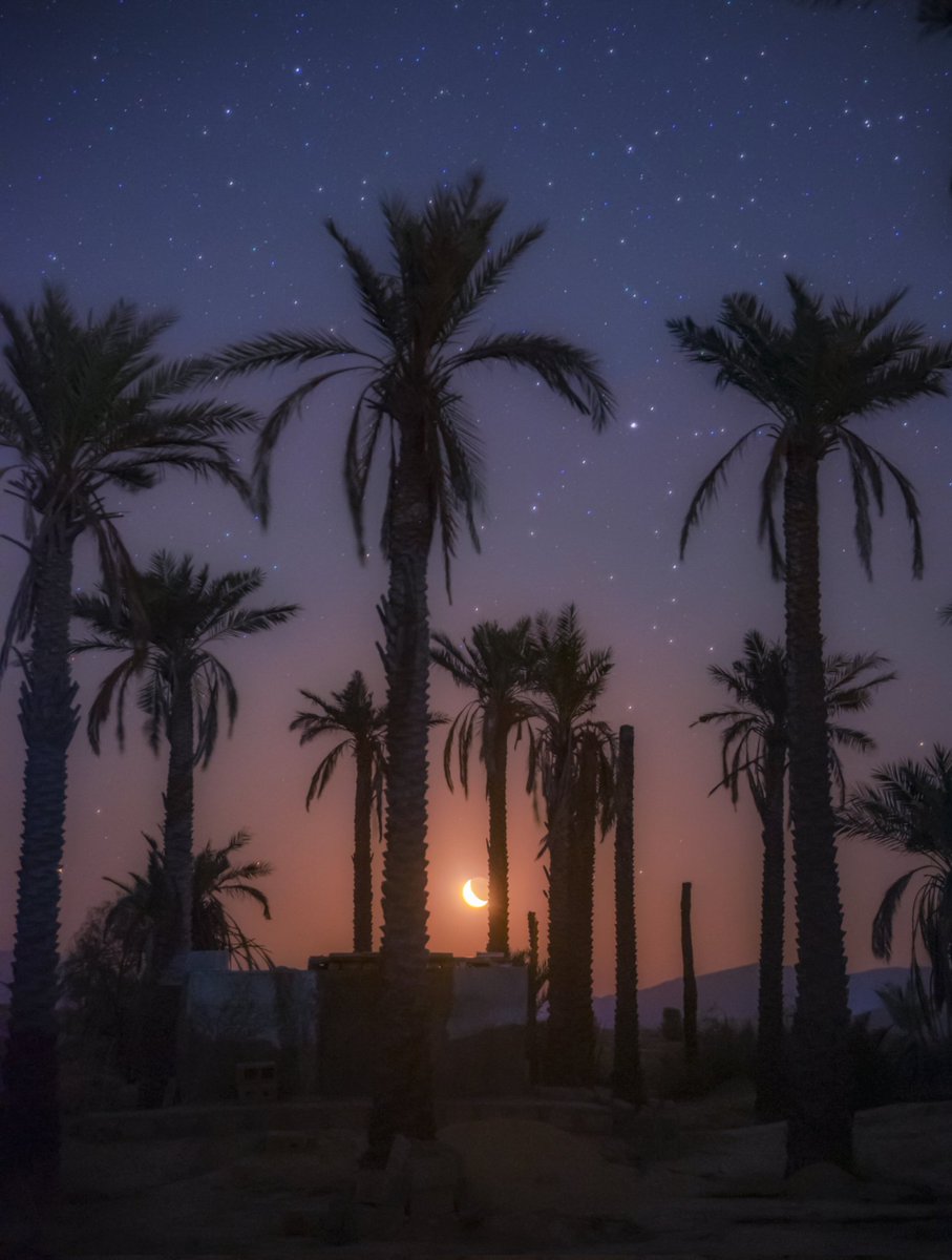 GN Fam 🌌💫
#Moonset in the palm land

#NFTCommunity #NightArt #NightscapePhotography #HAYATI
More photos and videos in my website:
NightInVR.com