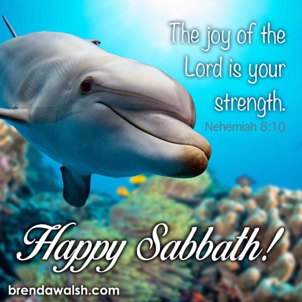 brendakwalsh's tweet photo. Happy Sabbath!
"The joy of the Lord is your strength." - Nehemiah 8:10
#BrendaWalshMinistries #HappySabbath #Sabbath #Sabbathrest #ShabbatShalom #bible #verse #bibleverseoftheday #verseoftheday #study #biblestudy #text #bibletext #gospel #joy #strength #trust #faith #trust https://t.co/xpb4RU5AbY