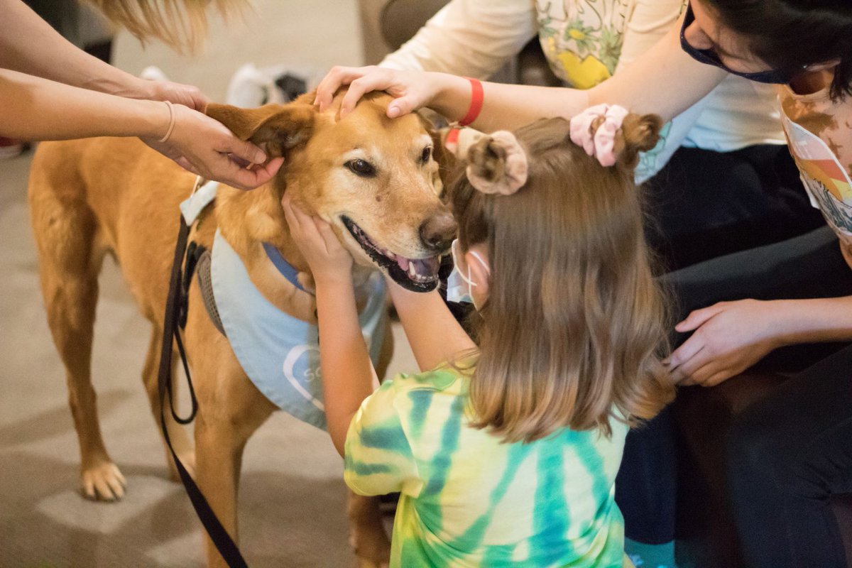 Our four-legged volunteers bring special smiles to our families! 🐾 ❤️
#InternationalDogDay #KeepingFamiliesClose