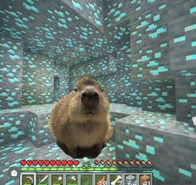 Pov: a YouTuber playing Minecraft survival