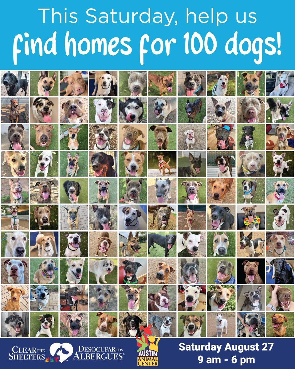 City of Austin tweet media