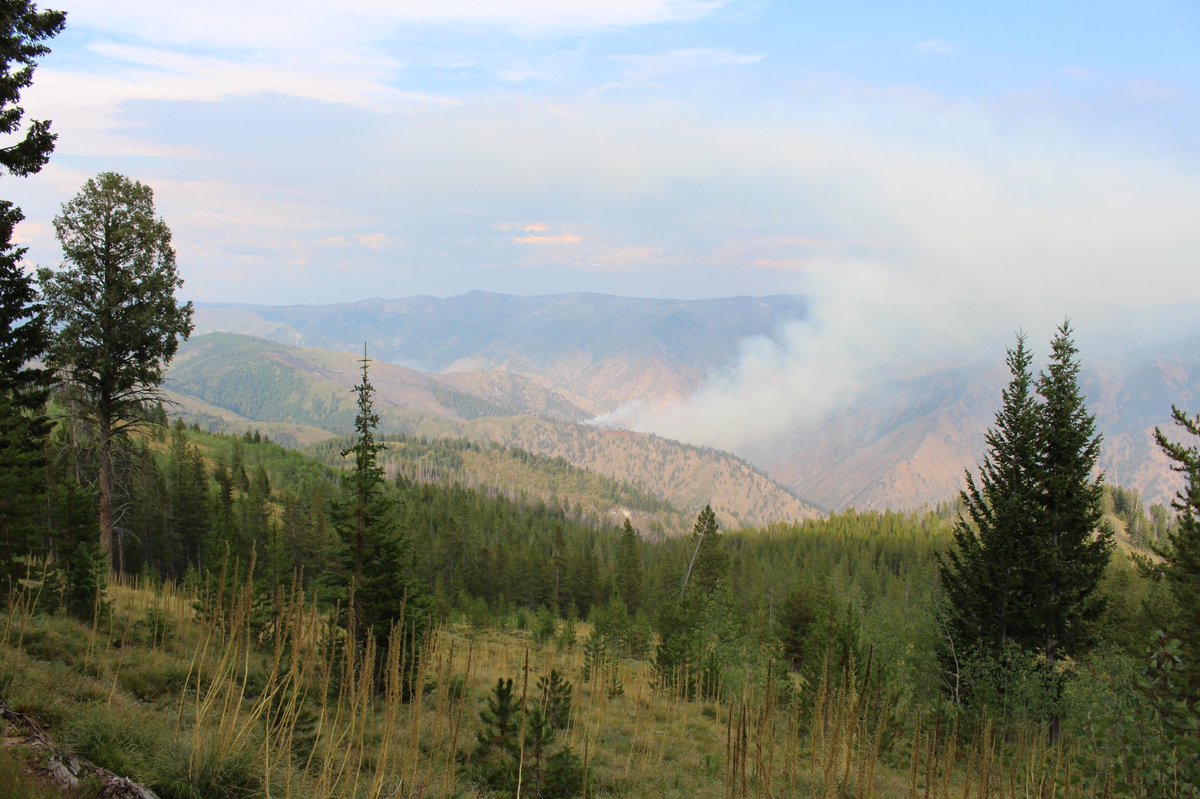 BCWildfireWkly's tweet photo. ICYMI: “#PorphyryFire #ID #IDPAF https://t.co/uVQgO7XnXz Porphyry Fire: new photos have been uploaded to this incident” - @inciweb/@PayetteForest 

#Idaho #wildfires https://t.co/5yST2lP7vk