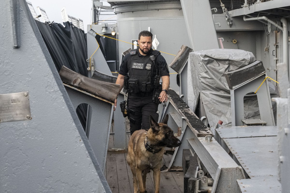 SecretService's tweet image. It's #NationalDogDay. We don't want to hound you with photos of our best friends, but these dogs are so pup-tacular that they should be celebrated!