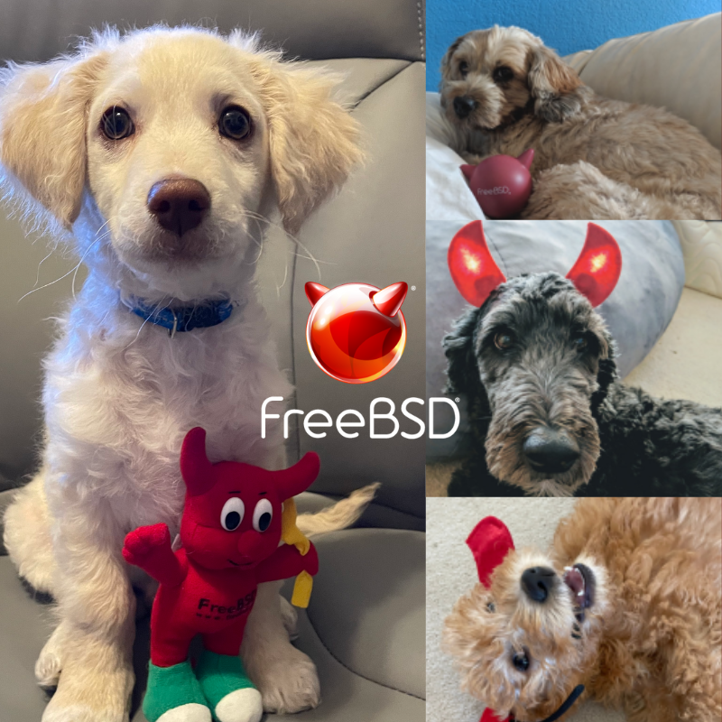 FreeBSD Foundation tweet media