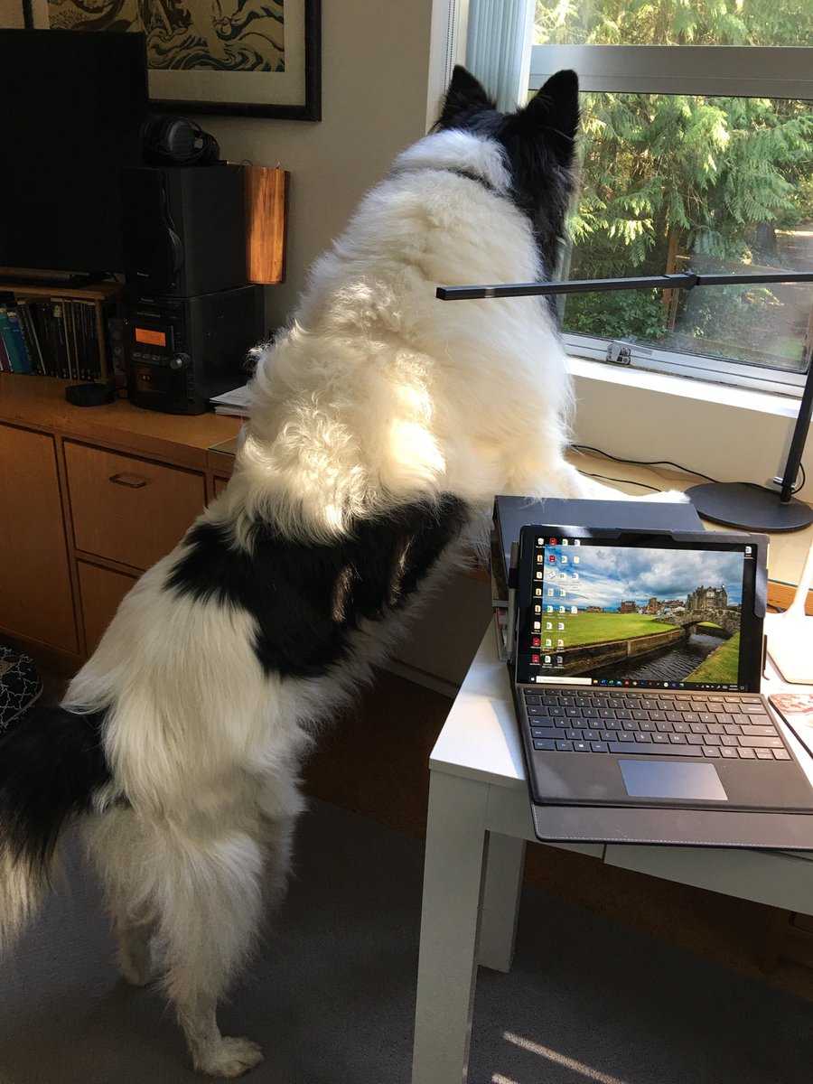 Robert Birman tweet media