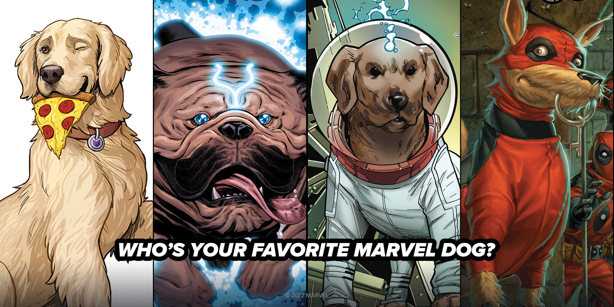 Is Lockjaw Real In Dogs