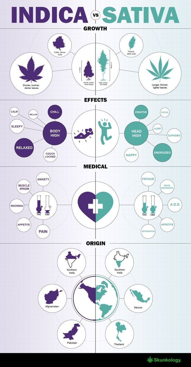 cannabizarena's tweet image. Weekend is when I start learning #cannabis #selflearn #informative #sourceofknowledge #knowledge 
#Medicare