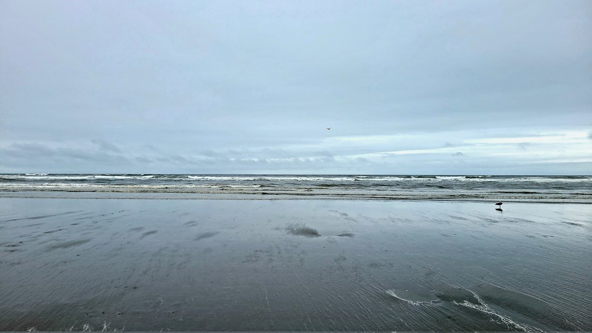 Butters Kennedy tweet media