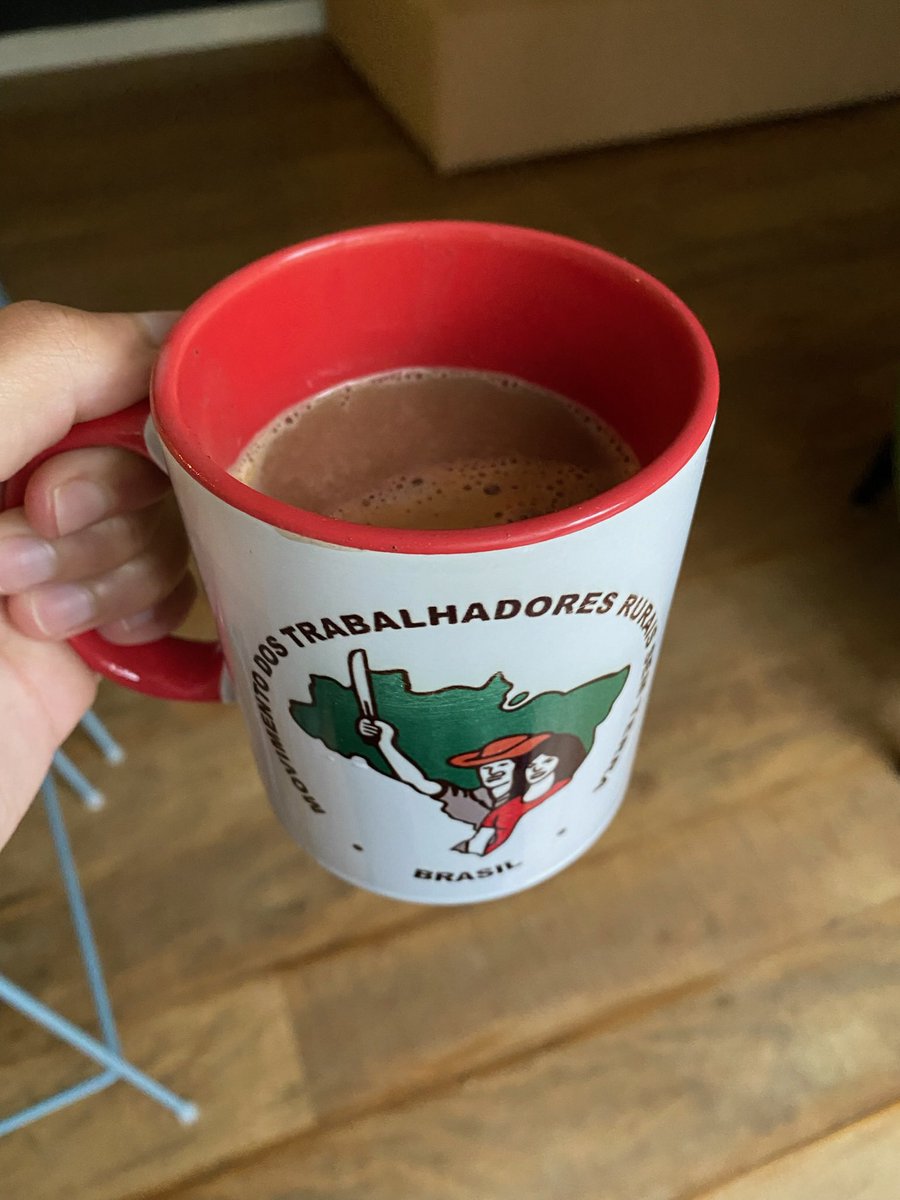 Bela Gil tweet media