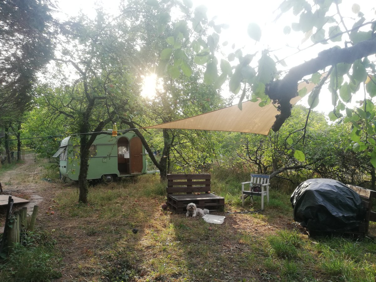 taagtraumerin's tweet photo. Mein Garten hat Zuwachs bekommen 🚌 https://t.co/CDMR9ejDSD