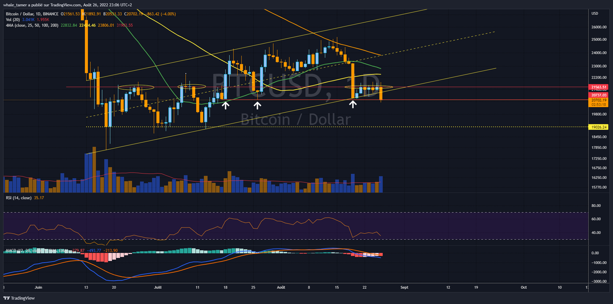 whale_tamer's tweet photo. #Bitcoin daily:
Ce qui devait arriver arriva, #bitcoin échoue face à la zone des 21560$ et quitte son canal haussier ainsi que son range (support +- 20,7k$ résistance 21,5k$).
Va-t-il réintégré celui-ci ou va-t-il s'enfoncer vers les 19000$ ?
#cryptomonnaies #bitcoinAT https://t.co/tBaoIXvuc5