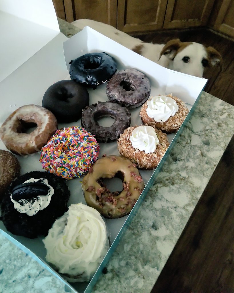 CanadianBlackBear🇨🇦 (CanadianPenny🌈) tweet media