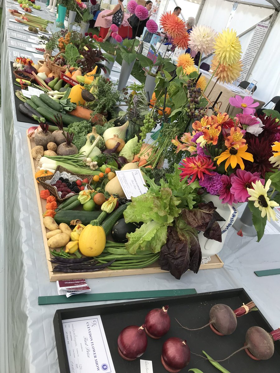 ClevedonShow's tweet photo. The 2022 Clevedon Flower Show opens tomorrow at 12 noon.
Come along and enjoy the fun . https://t.co/CAfvnEQNGu