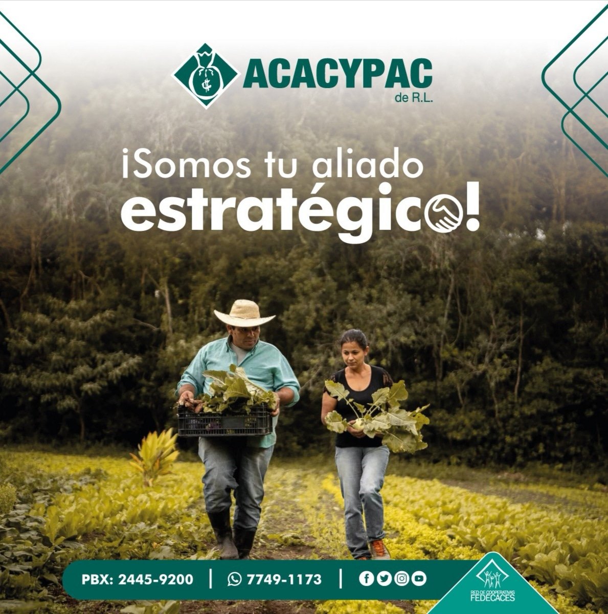 En ACACYPAC DE R.L todos  somos beneficiados. El asociado que invierte en su negocio, el asociado que ahorra en ACACYPAC de R.L., el apoyo que reciben las comunidades a través de la responsabilidad social empresarial.
#Somostualiadoestratégico