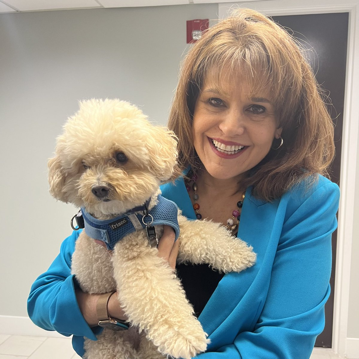 Dogs4FL27's tweet photo. Did someone say #InternationalDogDay 🐾 — These past few weeks with @Annette_Taddeo have been paw-some!!

🦴🐶 #Dogs4FL27 #Dogs4Annette https://t.co/FMExqWBAWs