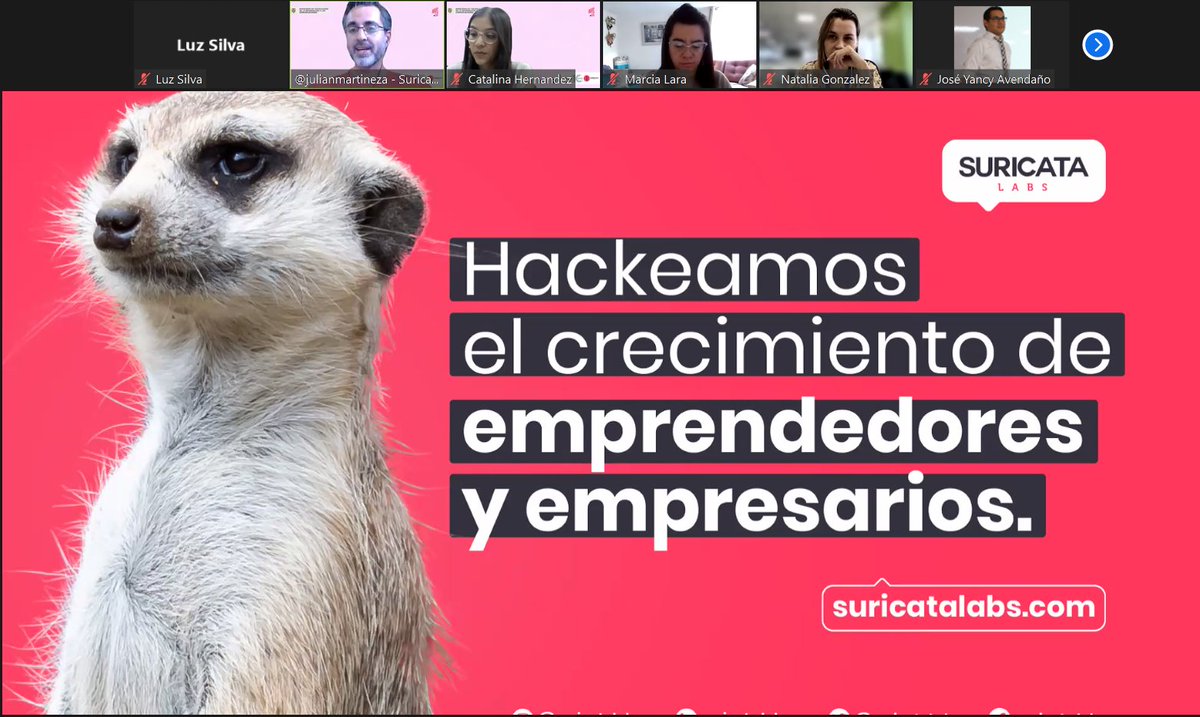 SuricataLab's tweet photo. 🔴Durante las próximas 13 semanas, trabajaremos en la fase de #CrecimientoTech de @Appsco con 26 equipos que buscan su fortalecer sus negocios en áreas claves para crecer. 💪 https://t.co/q9HDFS5ODX