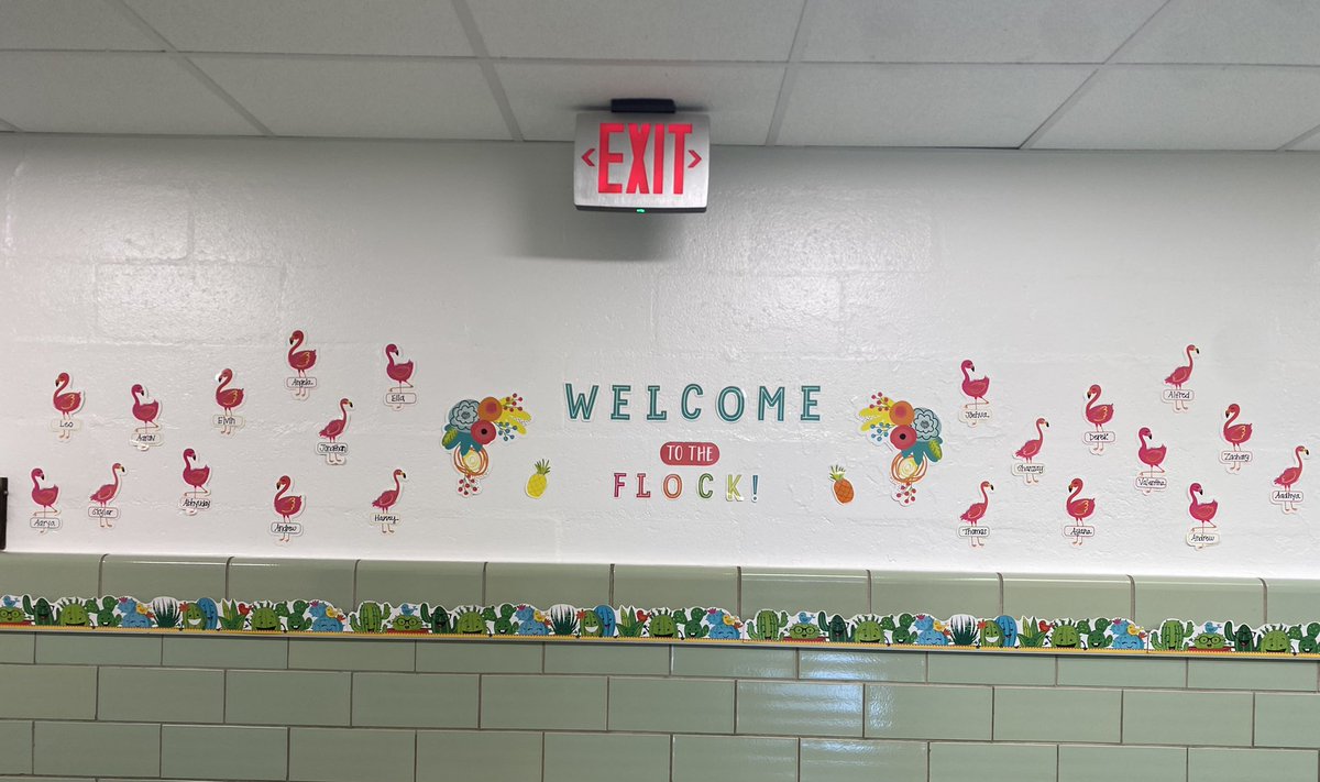 MrsDPallatto's tweet photo. Excited to meet my new flock of third graders ! 🦩 #JacksonPride @A_RiveraNY https://t.co/LeuOelajIW