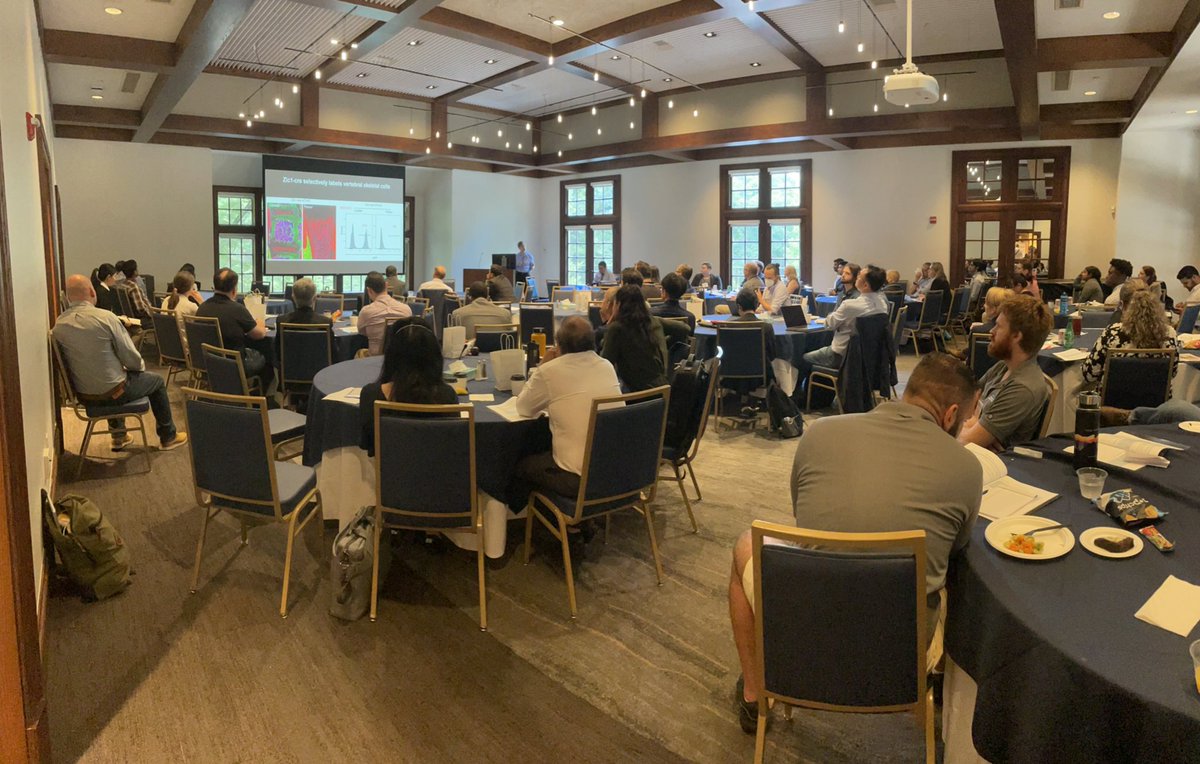 WardLab_Emory's tweet photo. @jorDNAse &amp; I brought the “neuro” to the 3rd International Conference on Musculoskeletal &amp; Neural Interactions @EmoryUniversity 🤓 where all 👩🏻‍🔬👨🏽‍🔬were either bone or muscle specialists.
https://t.co/7GM6Jbzfbs 
1 big takeaway is that while we mostly use 8 week old “adult” mice https://t.co/91pXGcwjbo