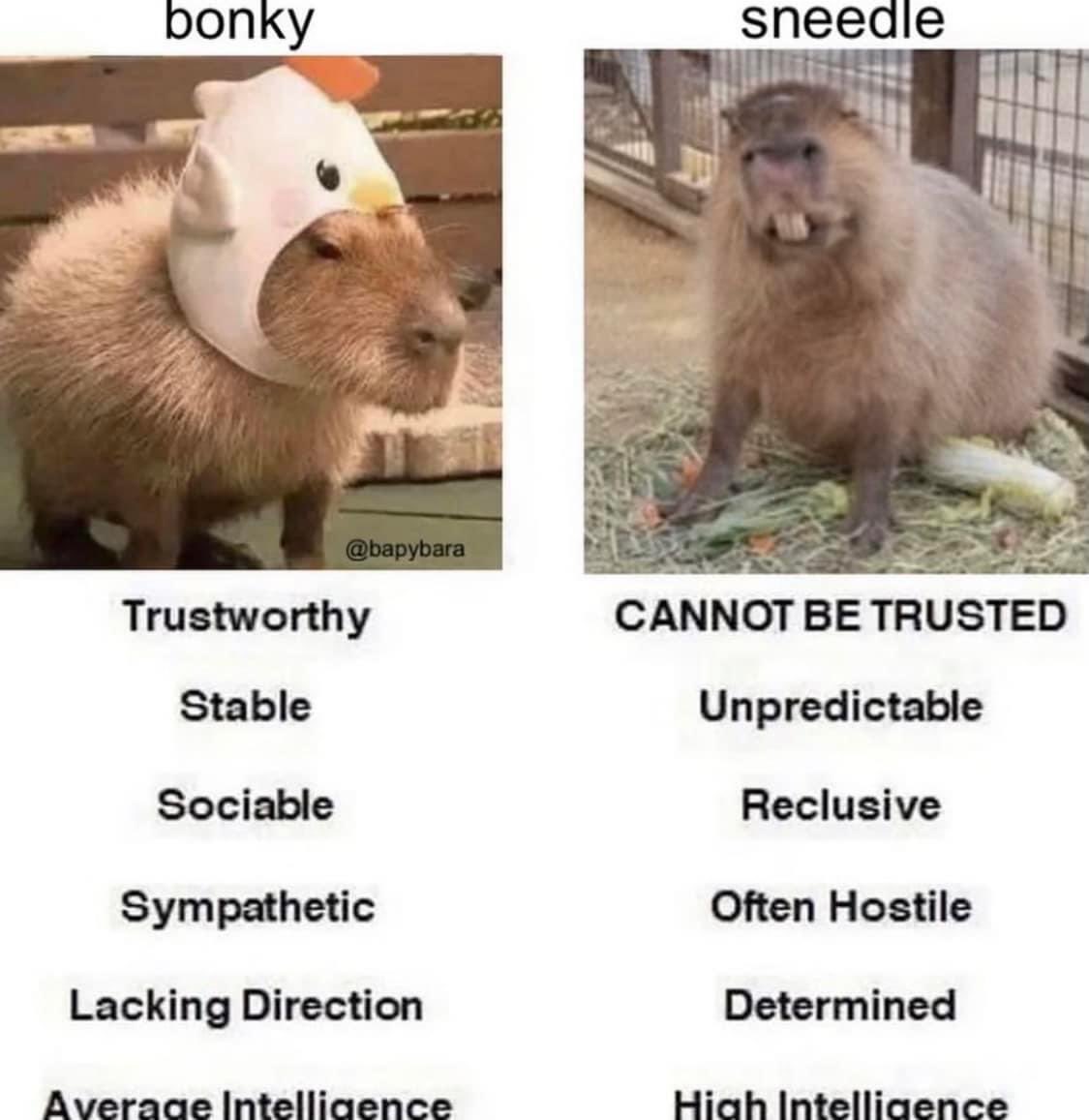 CAPYBARA_MAN's tweet photo. inside you are 2 capybaras https://t.co/PFz6ykcpYx