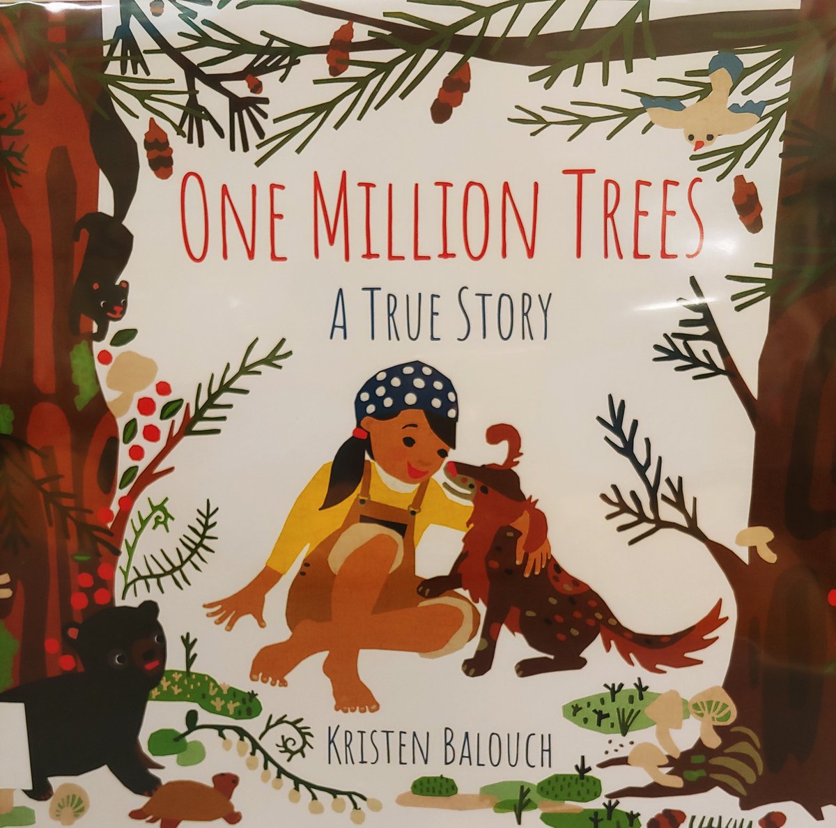 westmaplemedia's tweet photo. #BPSSummerReads Sustainable forestry is a theme in this true story. The design & writing are unique. It capturing thinkers & environmentalists of all ages. @KristenBalouch #BPSLibraries #MISchoolLibrary @WestMapleEle https://t.co/J5z9RvnBxT