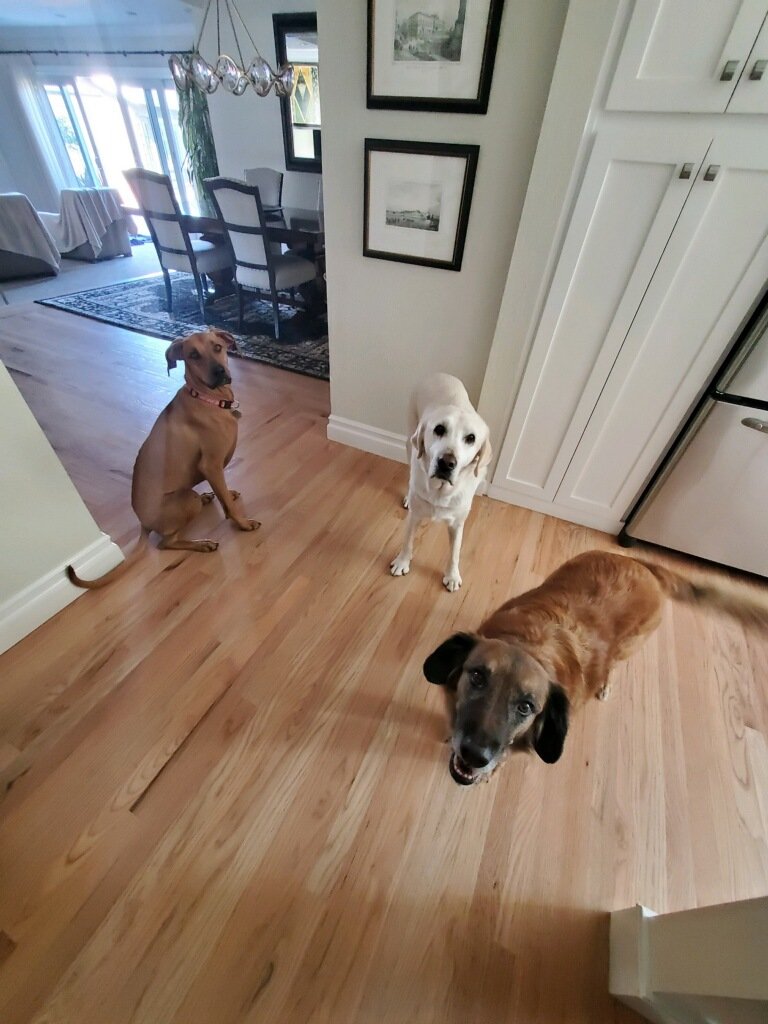 Denise Coleman tweet media