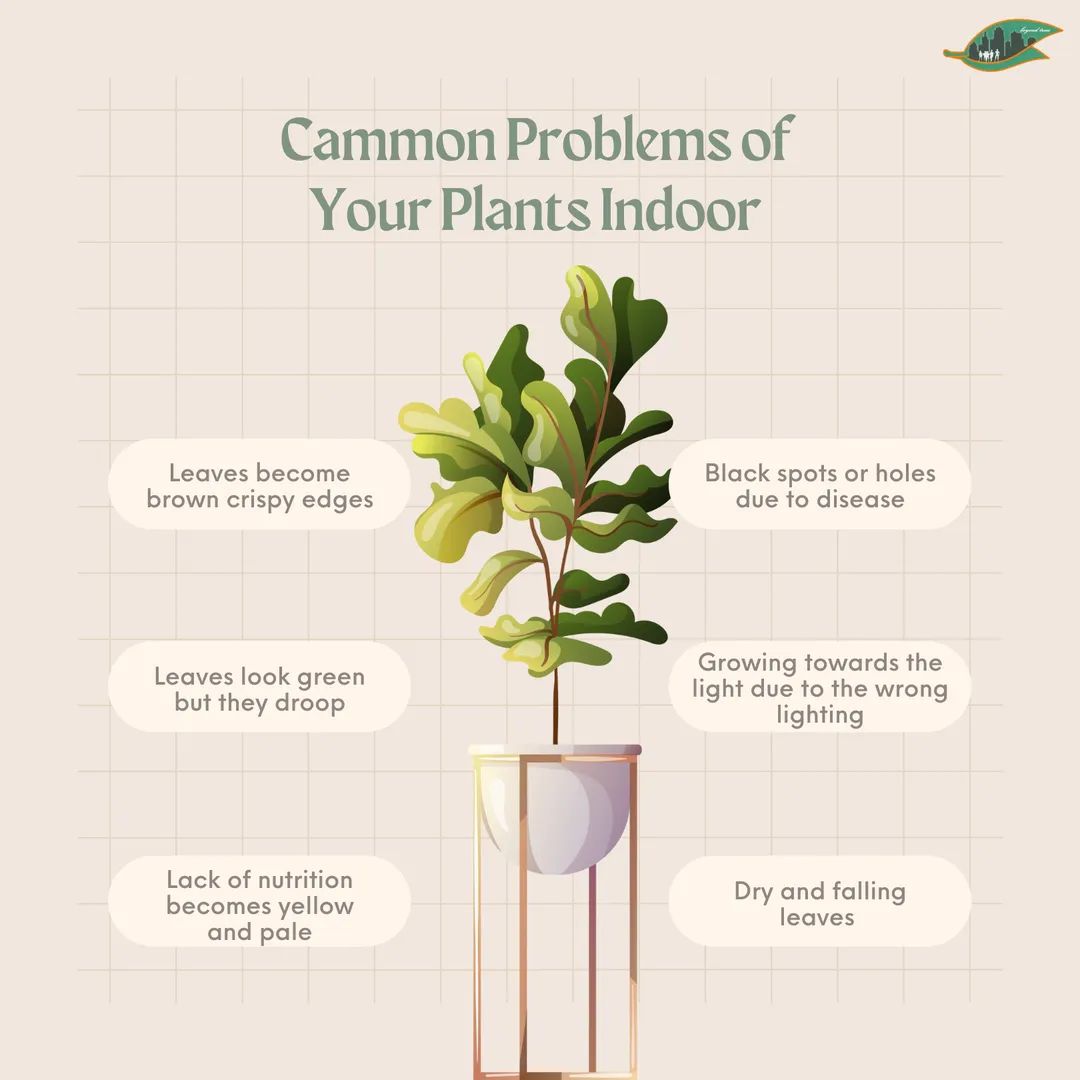 BeyondTreesNet's tweet photo. Keeping your houseplant happy and healthy can be a breeze in the right conditions, but that doesn’t mean you won’t find yourself experiencing a few plant problems along the way. From pests to diseases to environmental factors, there’s a lot to consider when taking in a new plant. https://t.co/p5EeZexcR3
