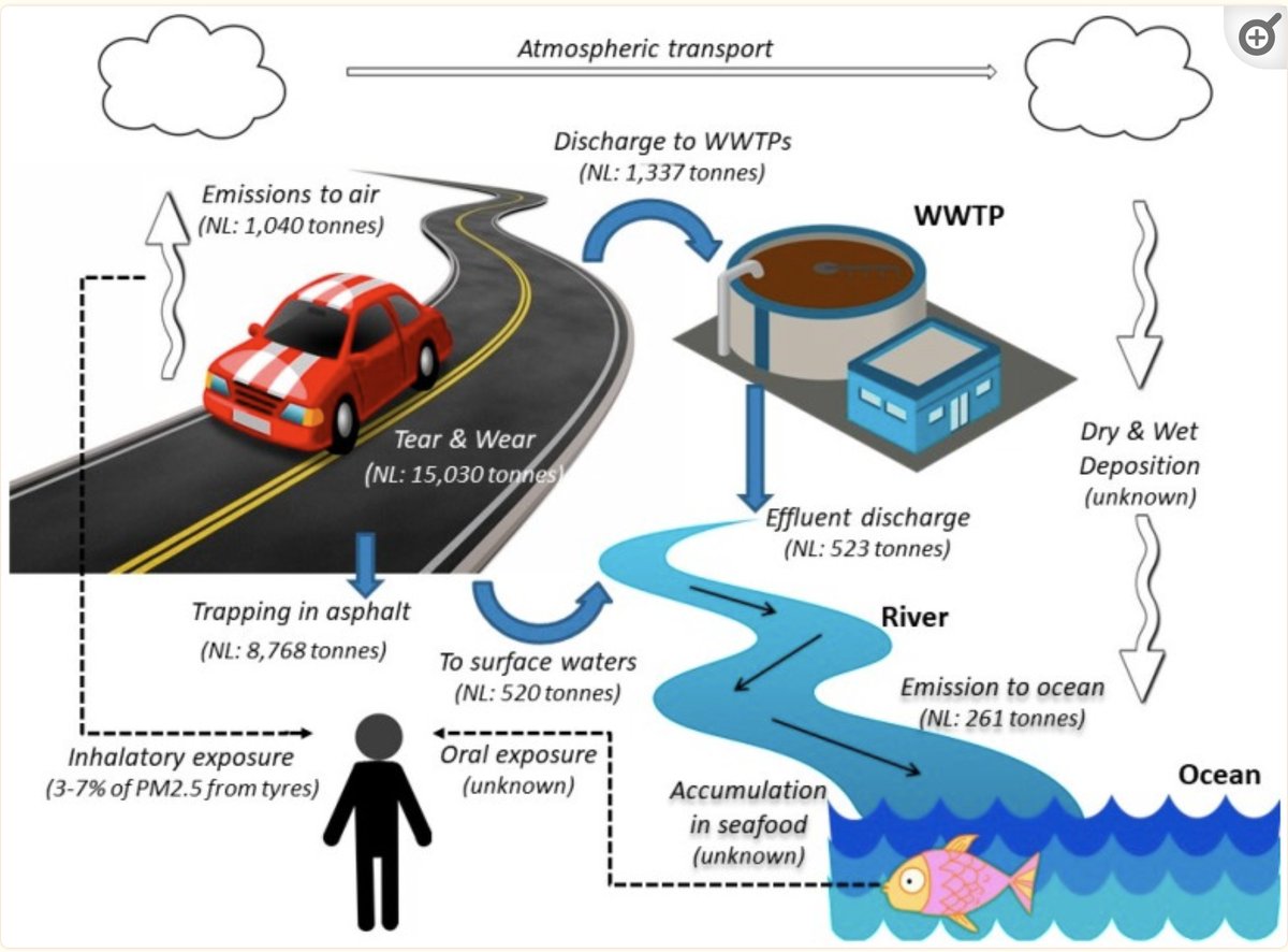 zhigangsuo's tweet photo. #threadsofpolymers
Wear and tear of tires emit particles
Particles are of sizes 10 nm - 0.1 mm.
Globally on average one person emits 0.8 kg/year.
Wear and tear of tires contribute 5-10% polymers in oceans, and 3-7% particles in air.
https://t.co/Tv5eDhTQDj https://t.co/gUq2SLn1pK