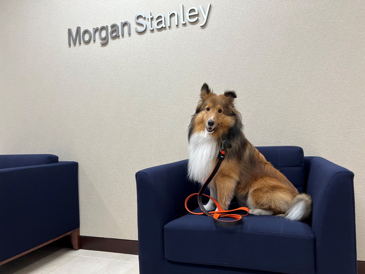 Happy International Dog Day from teammate Truffie

#MorganStanley #Dogs