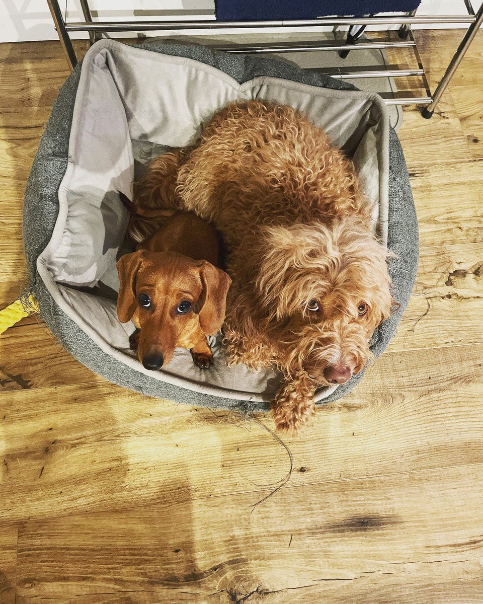 Kat Merchant tweet media