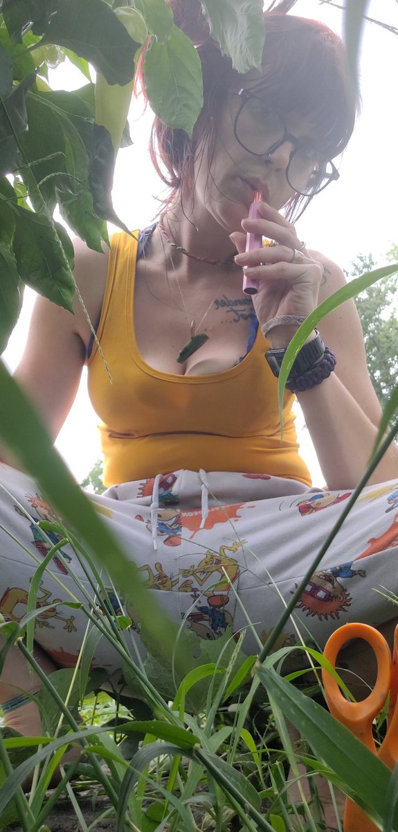 meowi_jane's tweet photo. I love to use my #airopro while I'm being a #gardenhoe . If gardening wasn't relaxing enough π₯°ππ₯π₯ππππΆπ₯¦
ππ¨π¨π¨π¨π¨π¨π¨
#Mmemberville
#CannabisCommunity
#GardeningFun https://t.co/1bblEId1SW